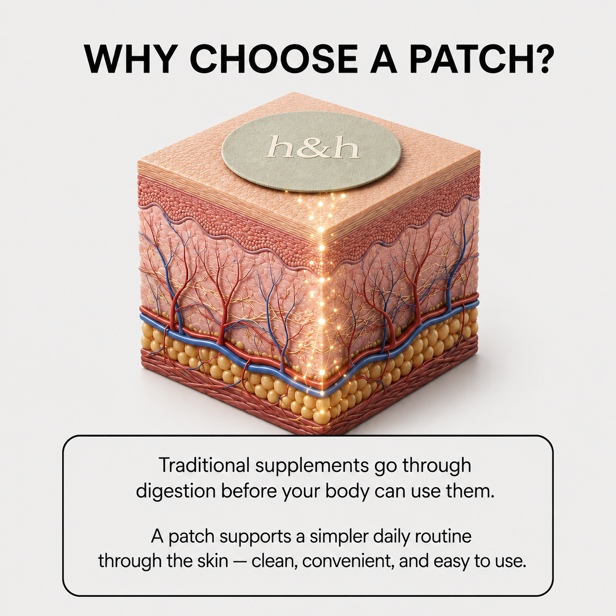 Illustration showing a Him and Her patch over the layers of the skin